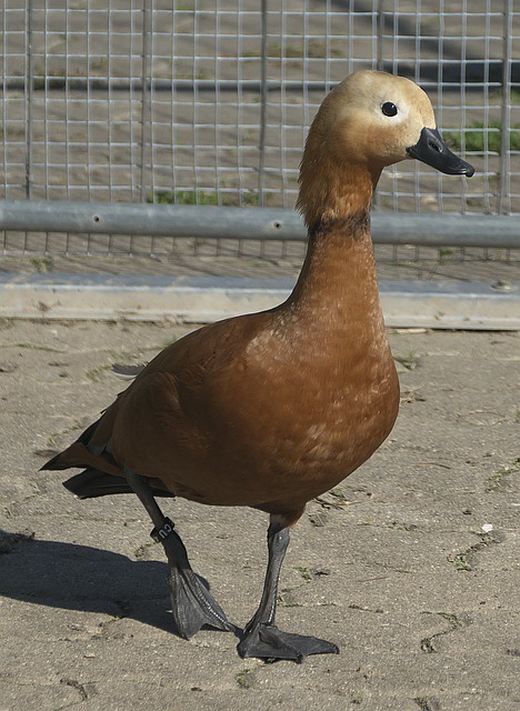 去书写